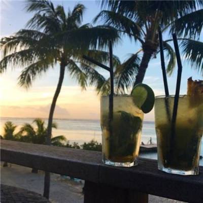 998娱乐彩票安卓APPapp下载